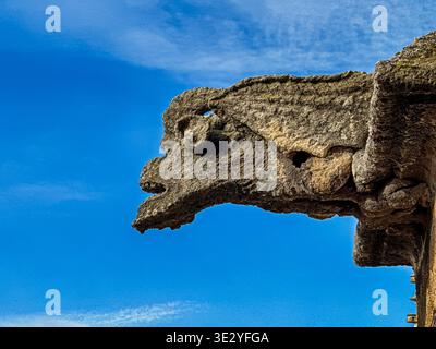 Uno dei gargoyle assume la forma di un drago alato sulla facciata anteriore della cattedrale di Santa Maria della sede a Siviglia, Spagna. Foto Stock