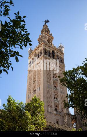 Giralda è il campanile della cattedrale di Siviglia, in Spagna Foto Stock