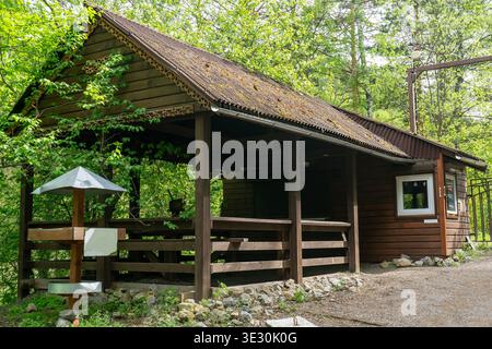 Un rustico rifugio in legno nascosto in una lussureggiante foresta verde, caratterizzato da un portico coperto, finiture decorative, un sentiero di ghiaia e alberi circostanti, adatto a f Foto Stock