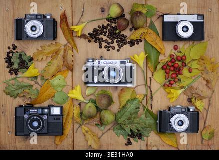 Vista dall'alto delle telecamere vintage FED-2, Smena e Elikon Autofocus disposte su un tavolo di legno con foglie autunnali, fiori gialli, fichi, rose fianchi, AN Foto Stock
