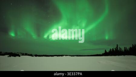 Aurora borealis a Yellowknife, Canada Foto Stock