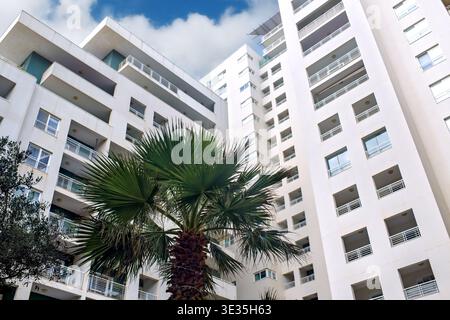 Una vista dal basso dei moderni complessi di appartamenti bianchi con balconi e una palma tropicale sotto un cielo nuvoloso a Malta. Foto Stock
