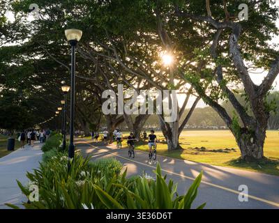East Coast Park Singapore, con ciclisti e jogger che corrono lungo il percorso di collegamento del parco al tramonto durante l'ora d'oro con lussureggianti alberi di pioggia Foto Stock