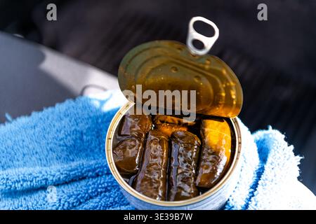 Dolmas vendemmia ripieno di vite d'uva ripieno di riso greco snack con olio con barattolo macrino pieno dettaglio consistenza del cibo in auto Foto Stock