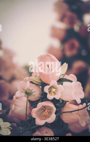 Una foto ravvicinata con delicati fiori a campana disposti in un gruppo stretto, con una sfumatura delicata dal rosa pallido al rosso intenso. La scena Foto Stock