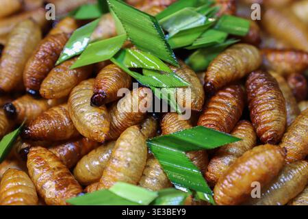 Autentico cibo di strada tailandese con pupae di bachi da seta fritte con foglie di pandan. Una delicatezza degli insetti commestibili ricca di proteine che si trova nei tradizionali mercati notturni. Foto Stock