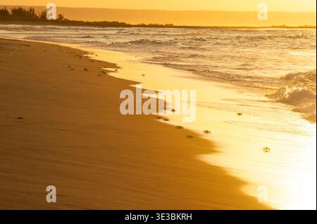 Tramonto sull'oceano, Tofo, Mozambico Foto Stock