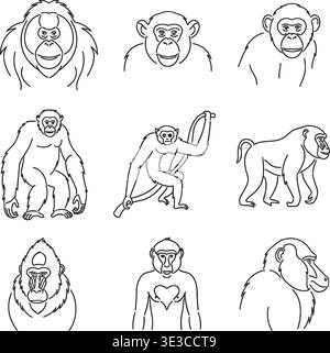 Set di icone minimaliste Monkey & Primate Line Art, Gorilla, Chimp & Baboon Vectors Illustrazione Vettoriale
