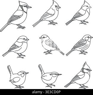 Esclusivo set di icone Songbird Line Art, Blue Jay e Cardinal Outline Vectors Illustrazione Vettoriale