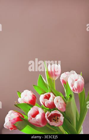 Un bouquet di tulipani rosa e bianchi su sfondo rosa con spazio vuoto per il testo Foto Stock