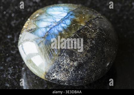 Campione ravvicinato di Labradorite lucidata su sfondo di granito nero del Madagascar Foto Stock