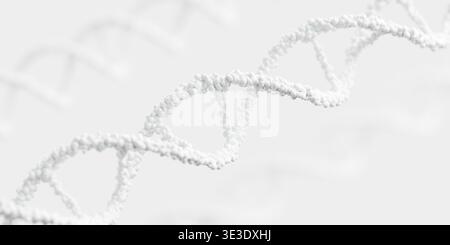 Primo piano della struttura del filamento di elica del genoma del DNA realizzata con sfere bianche su sfondo bianco, biotecnologia o concetto medico, focus selettivo, 3D illustr Foto Stock