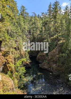 Fiume color smeraldo naturale tra la foresta delle montagne dell'isola di Vancouver in estate su una piccola e soleggiata cascata Qualicum, BC, Canada Foto Stock