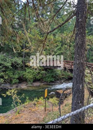 Fiume color smeraldo naturale tra la foresta delle montagne dell'isola di Vancouver in estate su una piccola e soleggiata cascata Qualicum, BC, Canada Foto Stock