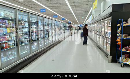 Toronto, ONTARIO, Canada - 13 marzo 2026: Un cliente fa acquisti in un corridoio luminoso pieno di congelatori e prodotti vari. Foto Stock