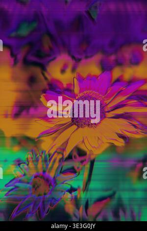 Distorsione floreale glitch con Rainbow RGB Split e linee di scansione Foto Stock