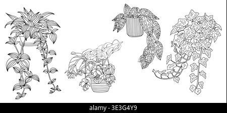 Un insieme di piante da casa appese delineano i disegni Illustrazione Vettoriale