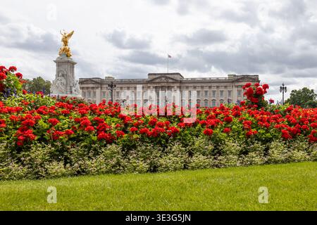Buckingham Palace e Victoria Memorial con fiori rossi in primo piano, Londra, Regno Unito Foto Stock