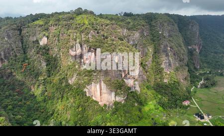 Le terrazze di riso dorate si annidano alla base delle immense pareti della valle di Harau, ricoperte di verde tropicale sotto le nuvole di raccolta. Foto Stock
