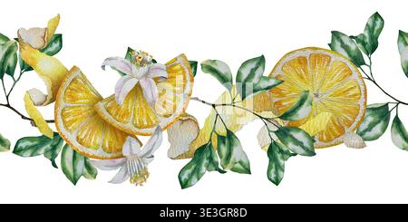 Bordo senza cuciture con fette di limone, metà e fiori di agrumi con foglie verdi. Illustrazione per confezionamento bevande, stampa tessile, menu d Foto Stock