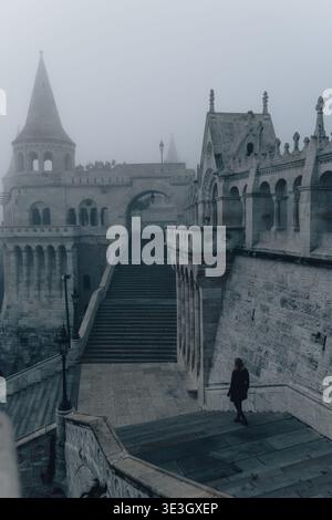 La vista di una figura solitaria scende dai gradini in pietra del Bastione dei pescatori, avvolti da una fitta nebbia che muta la grandezza architettonica di Budapes Foto Stock