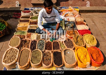 Un commerciante siede a gambe incrociate in un mercato di Varanasi e offre un'ampia varietà di spezie aromatiche e polveri ordinate in sacchi aperti. Foto Stock