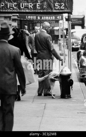 Questa accattivante fotografia di strada di Angelo Rizzuto, probabilmente degli anni '1950 a New York City, cattura un momento quotidiano su un marciapiede affollato. Un uomo in tuta, che tiene in mano un bastone, guarda il suo cane mentre urina su un idrante del fuoco, circondato da altri pedoni e auto. Foto Stock
