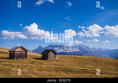 Due antiche capanne di legno poggiano sui prati dorati del Sass de Putia loop. Lo sfondo mostra le imponenti vette dolomitiche sotto un cielo azzurro limpido, Foto Stock