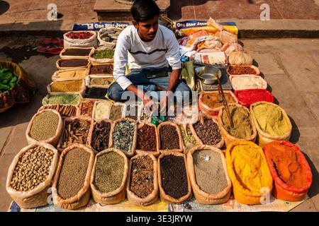 Un commerciante siede a gambe incrociate in un mercato di Varanasi e offre un'ampia varietà di spezie aromatiche e polveri ordinate in sacchi aperti. Varanasi UTT Foto Stock