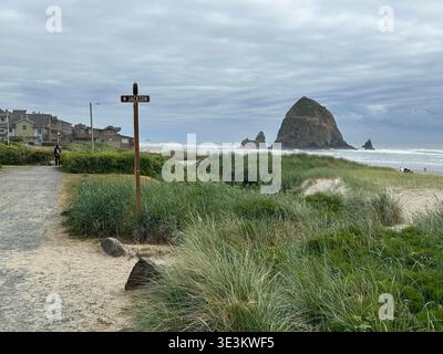 Roccia di fieno sulla costa dell'Oregon sotto un cielo suggestivo e lunare, catturando l'aspra bellezza di Cannon Beach e il suggestivo paesaggio Foto Stock