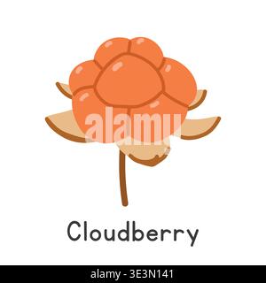 Illustrazione vettoriale piatta a bacca nuvolosa in stile fumetto clipart. Noto anche come salmonberry, yellowberry, dolcetto, malka, mela al forno Illustrazione Vettoriale
