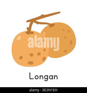 Illustrazione del vettore piatto longan. Longan o Dragon's Eye Fruit stile clipart isolato su sfondo bianco. Concetto di frutta tropicale ed esotica Illustrazione Vettoriale