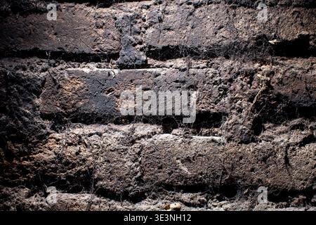 Foto ravvicinata di mattoni di terra molto vecchi, sporchi e ruvidi essiccati al sole che mostrano materiale organico ruvido e una spettacolare illuminazione superiore con ombre profonde. Foto Stock