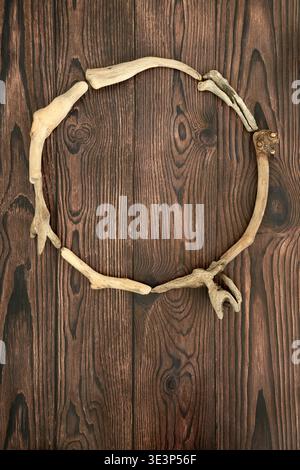 Decorazione rustica a cornice con ghirlanda di legno di Driftwood su sfondo in legno. Design decorativo con bordi minimali in legno curvo intrecciato sulla spiaggia costiera. Foto Stock