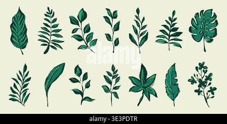 Collezione di icone con foglie verdi tropicali disegnate a mano e texture Grunge. Disegni a inchiostro organico di foglie tropicali isolate su bianco Illustrazione Vettoriale