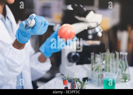 Laboratorio chimico dell'alimentazione alimentare. Alimenti in laboratorio, dna modificano .OGM alimenti geneticamente modificati in laboratorio . Foto Stock