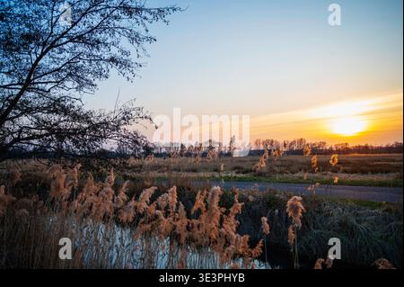 Un tramonto in Germania a marzo. Foto Stock