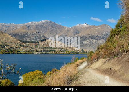 Fa parte del circuito di 8 chilometri del lago Hayes, un famoso percorso per passeggiate, corsa e ciclismo, con la catena montuosa Remarkables sullo sfondo. Foto Stock