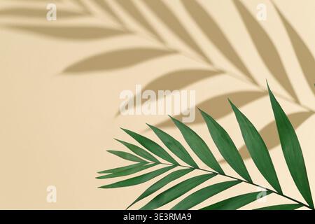 Ombra tropicale di foglie di palma su sfondo beige. Concetto estivo. Immagine di sfondo unica con un gioco di luci e ombre. Struttura piatta dall'estetica naturale. Foto Stock