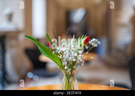 Primo piano di una fresca disposizione floreale con tulipani rossi e delicata gypsophila bianca in un vaso di vetro con un morbido sfondo interno sfocato Foto Stock