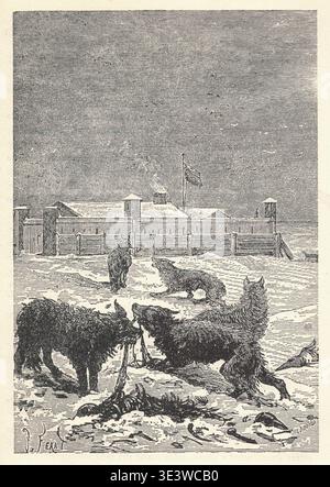 Lupi che circondano un forte in un aspro paesaggio invernale con una carcassa a terra. Un branco di lupi si trova nei pressi di un insediamento fortificato durante un rigido inverno, con una bandiera che sventola sopra la struttura. Foto Stock