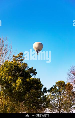Serena scena di una mongolfiera che galleggia con grazia sopra lussureggianti alberi verdi, in contrasto con un cielo blu limpido. L'immagine cattura l'essenza di Foto Stock