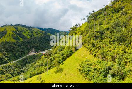 Vista aerea dell'autostrada la linea che si snoda tra lussureggianti colline verdi nelle Ande colombiane. La strada è circondata da una fitta foresta e da una torreggiante palma Foto Stock