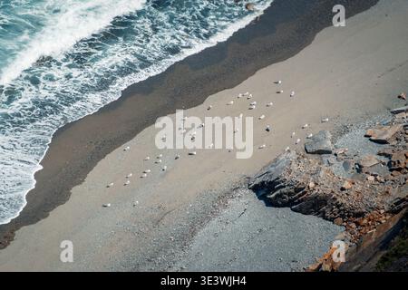 Una vista aerea cattura una scena serena di gabbiani sparsi sulla spiaggia sabbiosa di Cadavedo, Asturie, annidata accanto a una costa rocciosa con un delicato oc Foto Stock