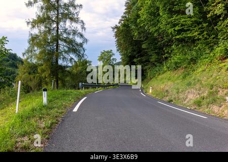 Strada asfaltata curvilinea che attraversa densa foresta e colline ondulate sotto il cielo nuvoloso paesaggio rurale. Tranquilla strada panoramica circondata Foto Stock