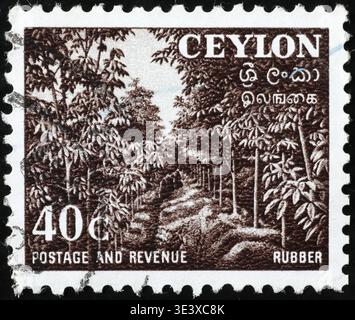 Piantagione di gomma sul francobollo di Ceylon Foto Stock