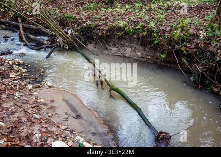 Il torbido torbido scorre attraverso una foresta autunnale, trasportando sedimenti e foglie cadute. Un ramo di albero rotto giace attraverso l'acqua torbida Foto Stock