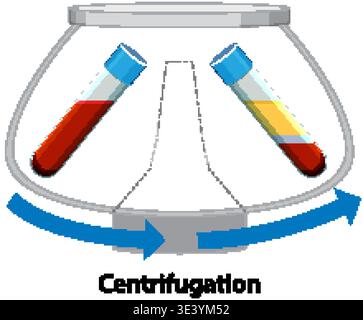 Illustrazione vettoriale delle provette per analisi del sangue in una centrifuga da laboratorio che separa plasma e cellule. Illustrazione Vettoriale