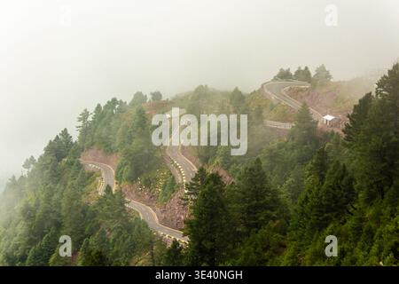 Veduta aerea di una strada a serpentina che si snoda attraverso fitte foreste verdeggianti, avvolta dalla nebbia, creando un'atmosfera eterea e onirica, PIR Chanasi, AZ Foto Stock