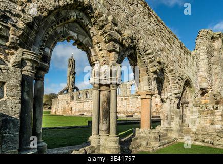 Chiostri di pietra illuminati dal sole e archi scolpiti presso le rovine della cattedrale di St Andrews, incorniciati da una torre lontana e da un prato verde. Offerta di architettura medievale storica Foto Stock